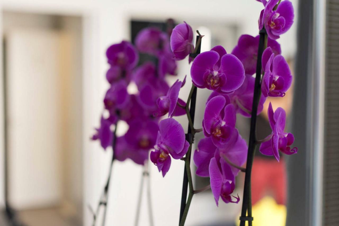 Studio Orchidea هلسنكي المظهر الخارجي الصورة